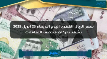 سعر الريال القطري اليوم الأربعاء 23 أبريل 2025 يشهد تحركات منتصف التعاملات